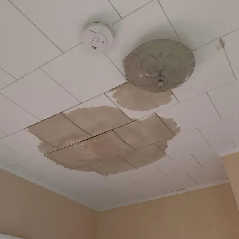 Ceiling Water Damage Repair in Pantops, VA